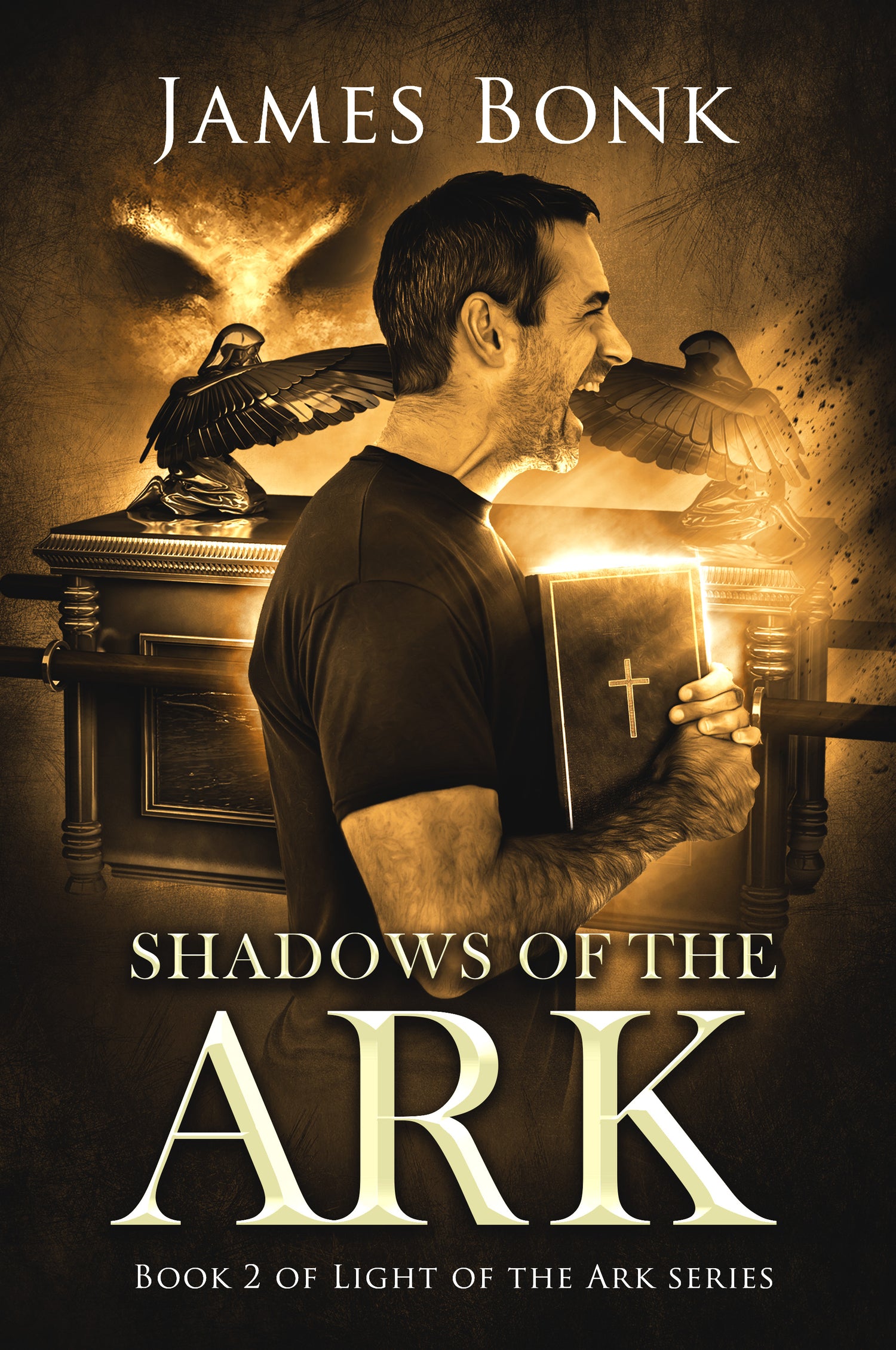 Shadows of the Ark (Book #2)