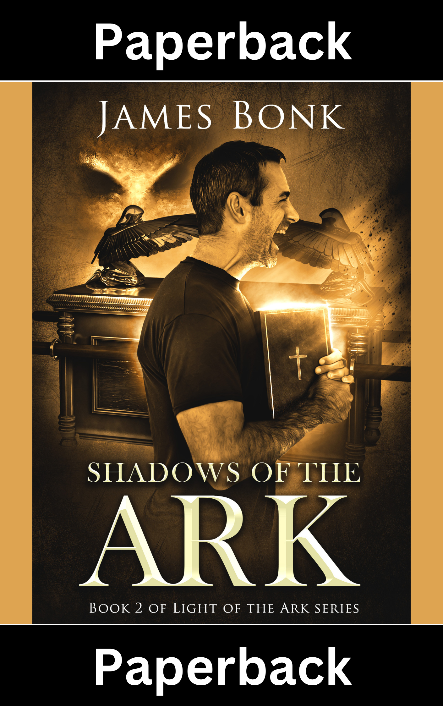 Shadows of the Ark: Book 2 of Light of the Ark (Paperback)