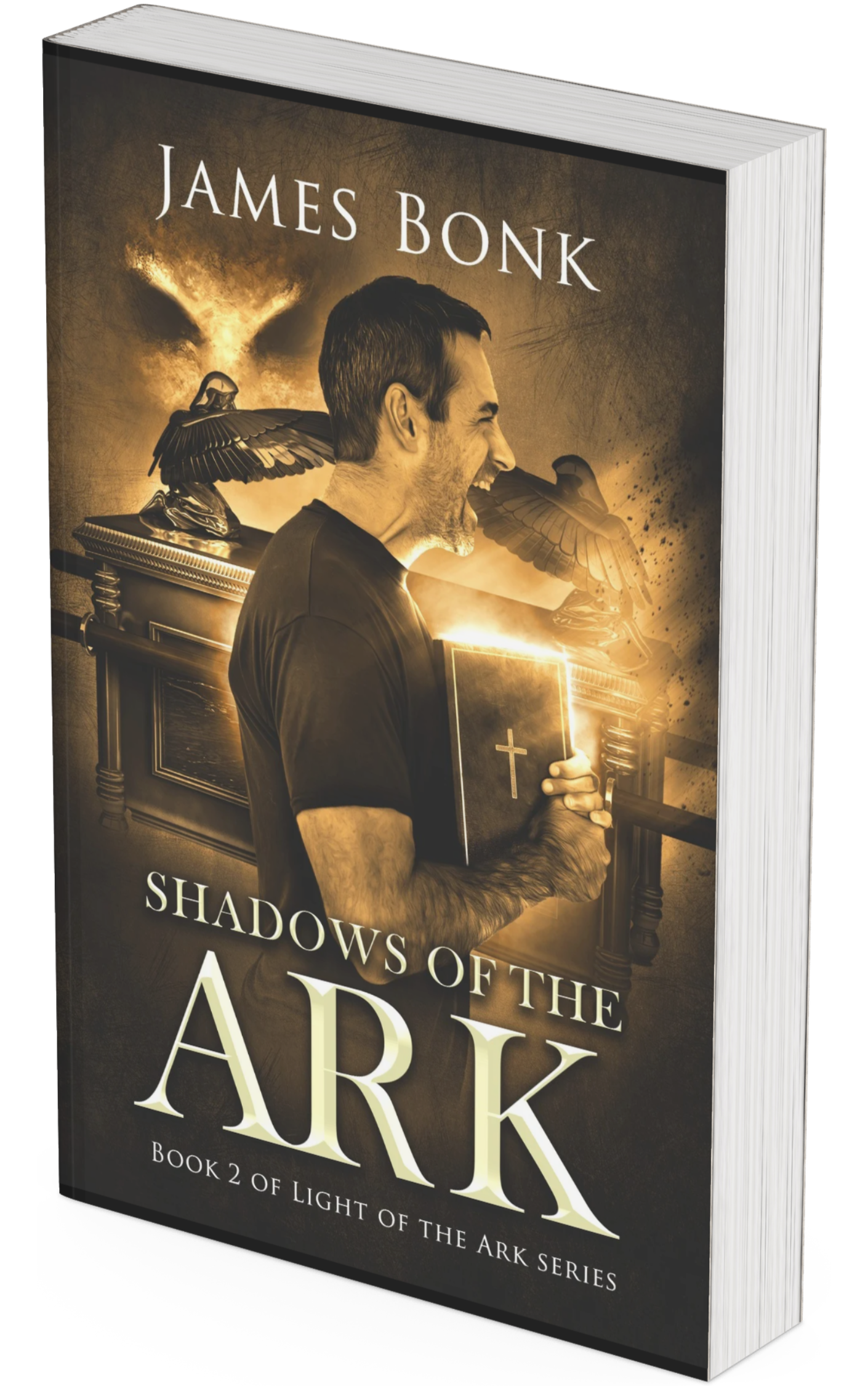 Shadows of the Ark: Book 2 of Light of the Ark (Paperback)